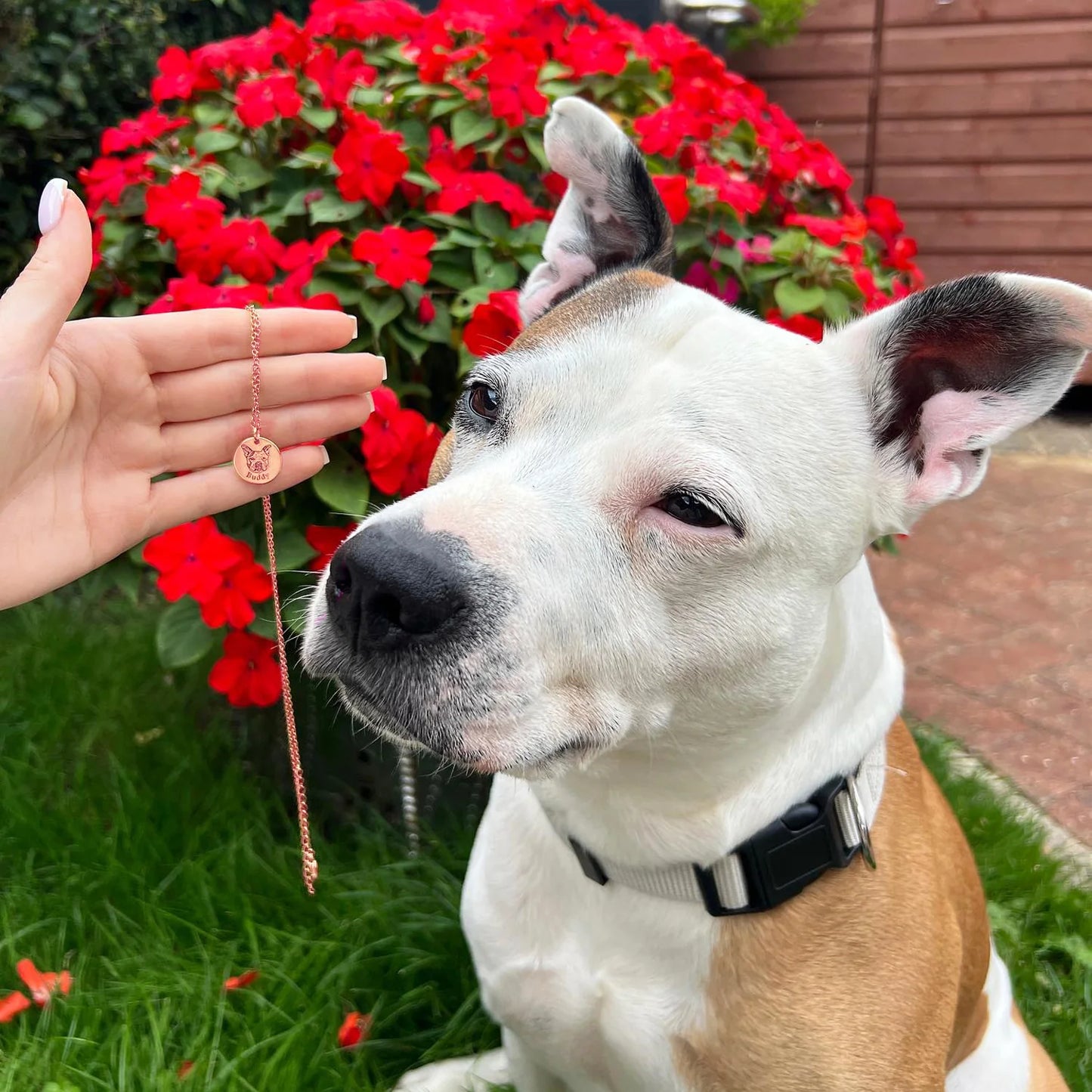 Εξατομικευμένο κολιέ με πρόσωπο κατοικίδιου